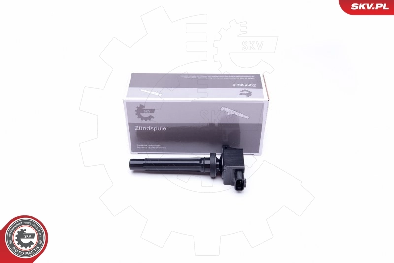 Ignition Coil